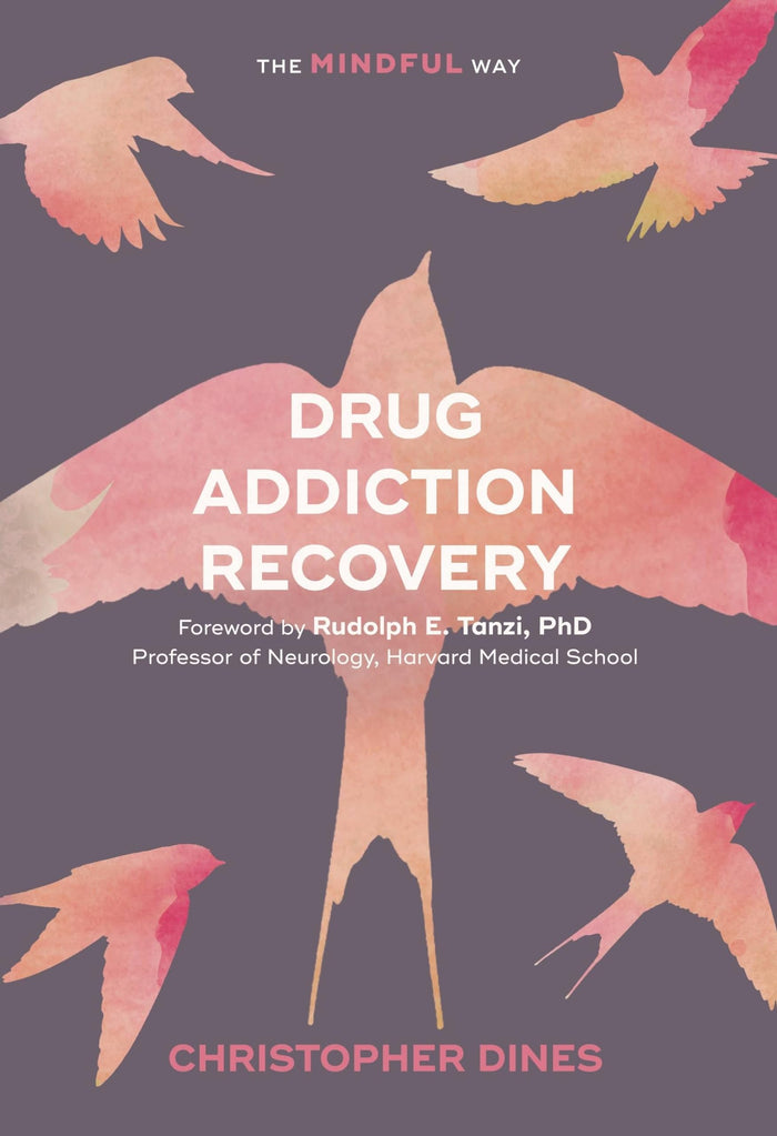 Drug Addiction Recovery: The Mindful Way by Christopher Dines - Paperback cover