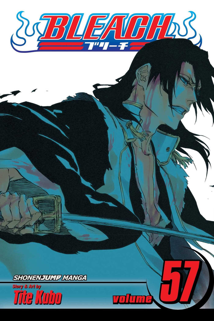 Bleach, Vol. 57 by Tite Kubo - Paperback cover
