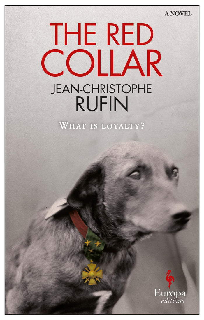 The Red Collar: A Novel by Jean-Christophe Rufin - Paperback cover