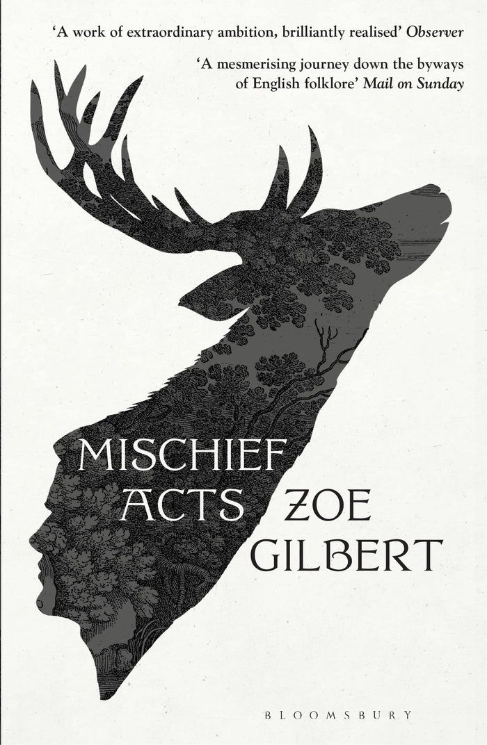 Mischief Acts: 'Joyous' THE TIMES, Best summer reads 2022 by Zoe Gilbert - Paperback cover