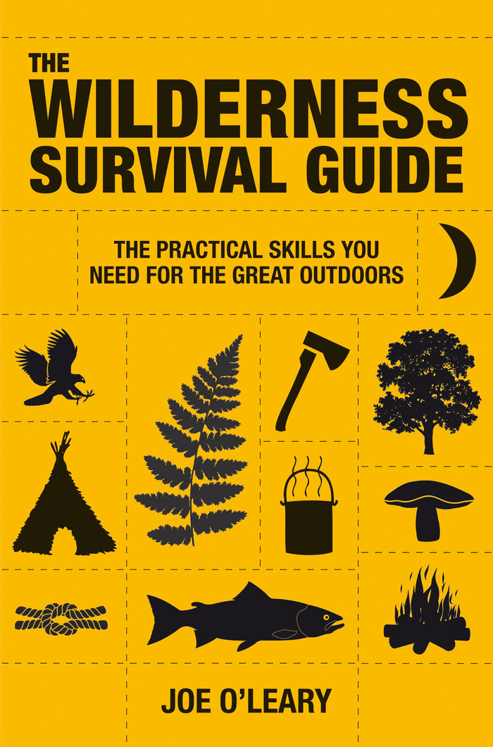Wilderness Survival Guide: The practical skills you need for the great outdoors by Joe O'Leary - Paperback cover