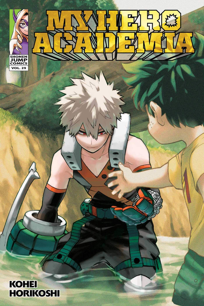 My Hero Academia, Vol. 29 by Kohei Horikoshi - Paperback cover