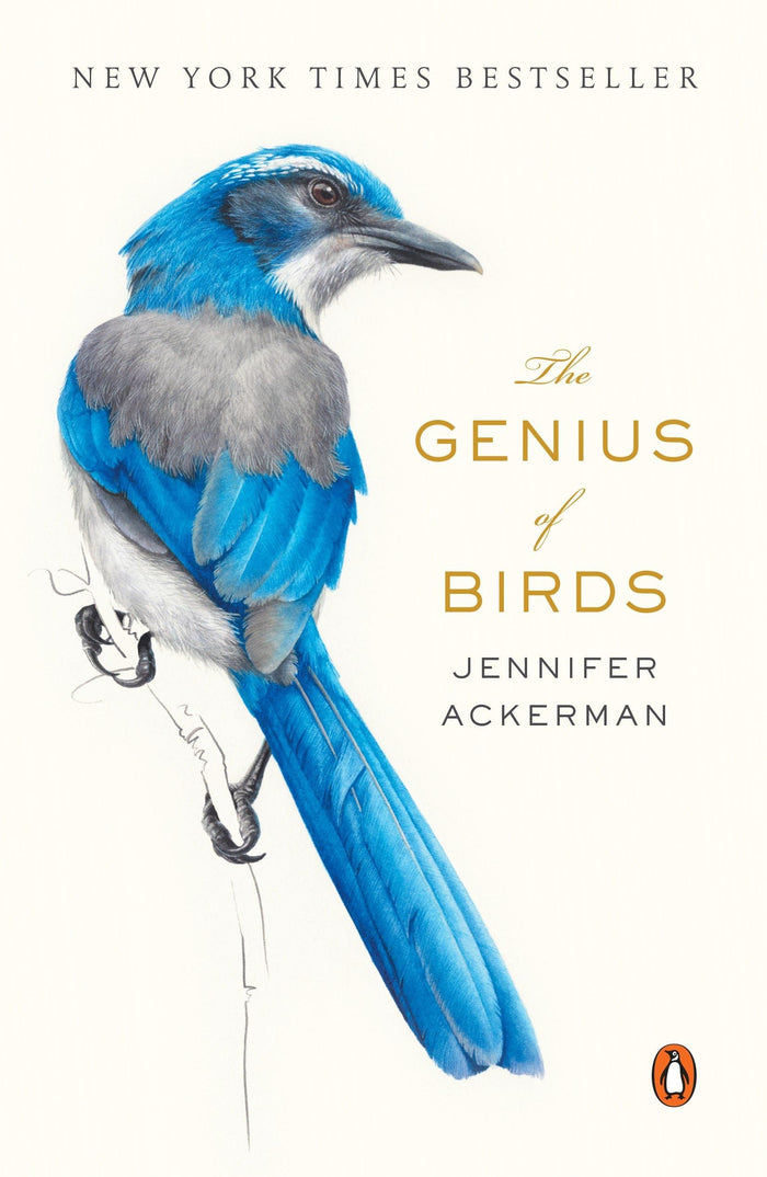 The Genius of Birds by Jennifer Ackerman - Paperback cover