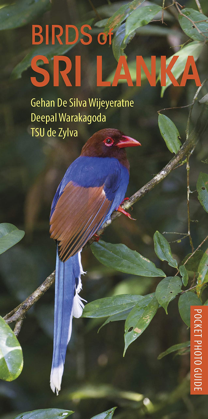 Birds of Sri Lanka (Pocket Photo Guides) by Gehan de Silva Wijeyeratne - Paperback cover