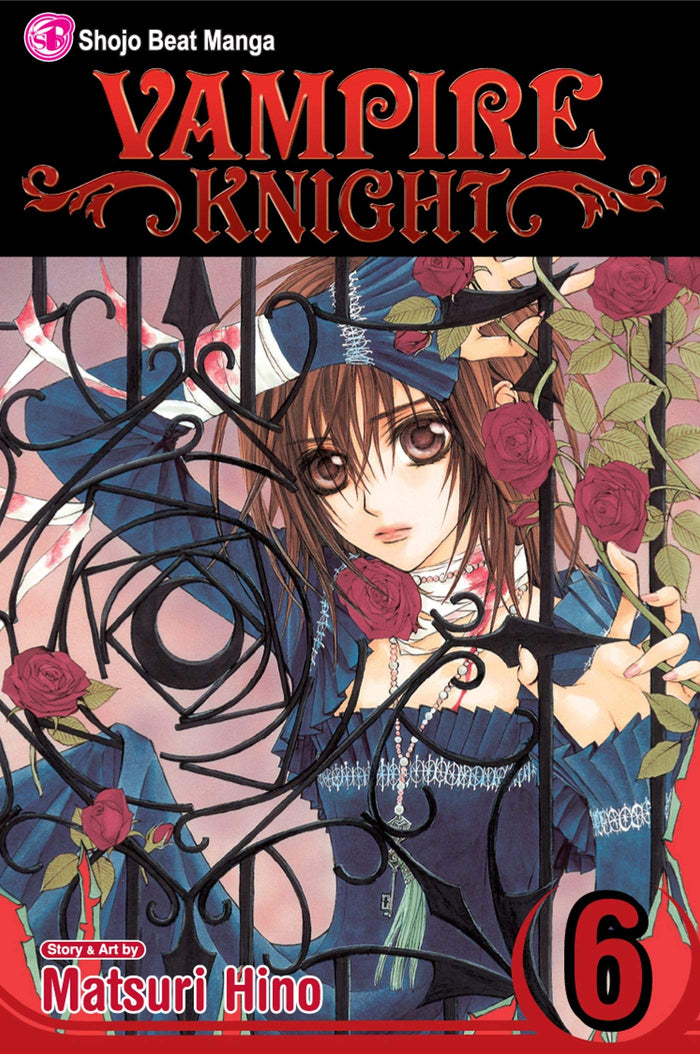 Vampire Knight, Vol. 6 by Matsuri Hino - Paperback cover