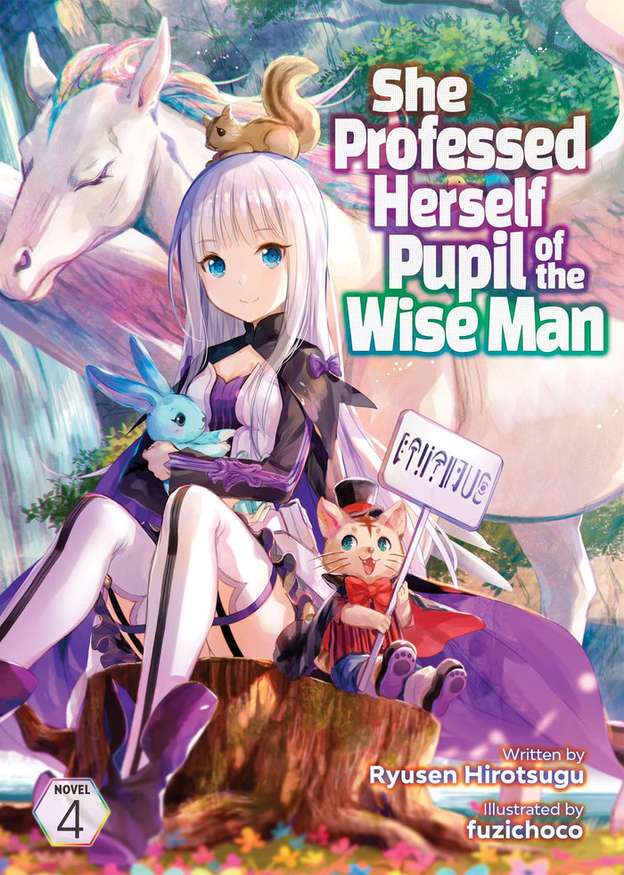 She Professed Herself Pupil of the Wise Man (Light Novel) Vol. 4 by Ryusen Hirotsugu - Paperback cover