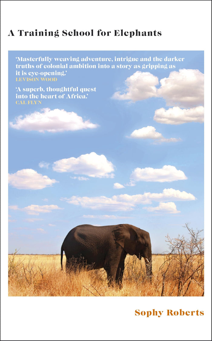 A Training School for Elephants by Sophy Roberts - Paperback cover