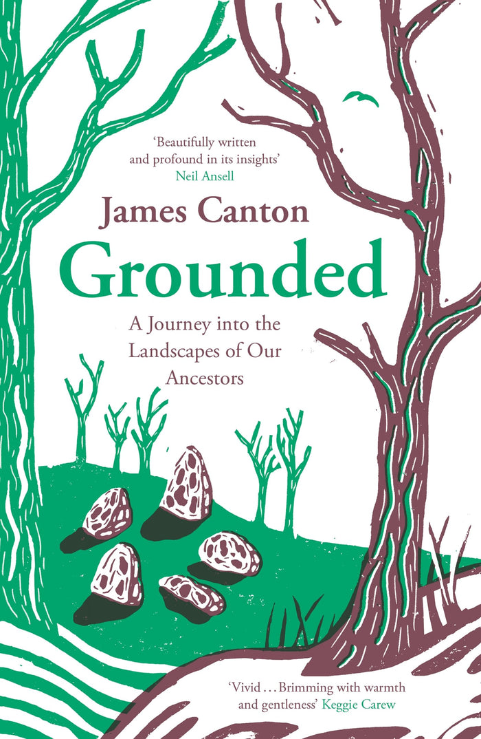 Canongate Books Grounded. by James Canton - Paperback cover