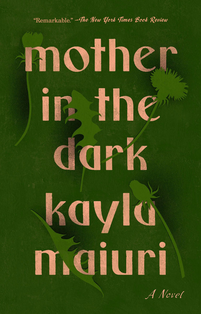 Mother In the Dark: A Novel by Kayla Maiuri - Paperback cover