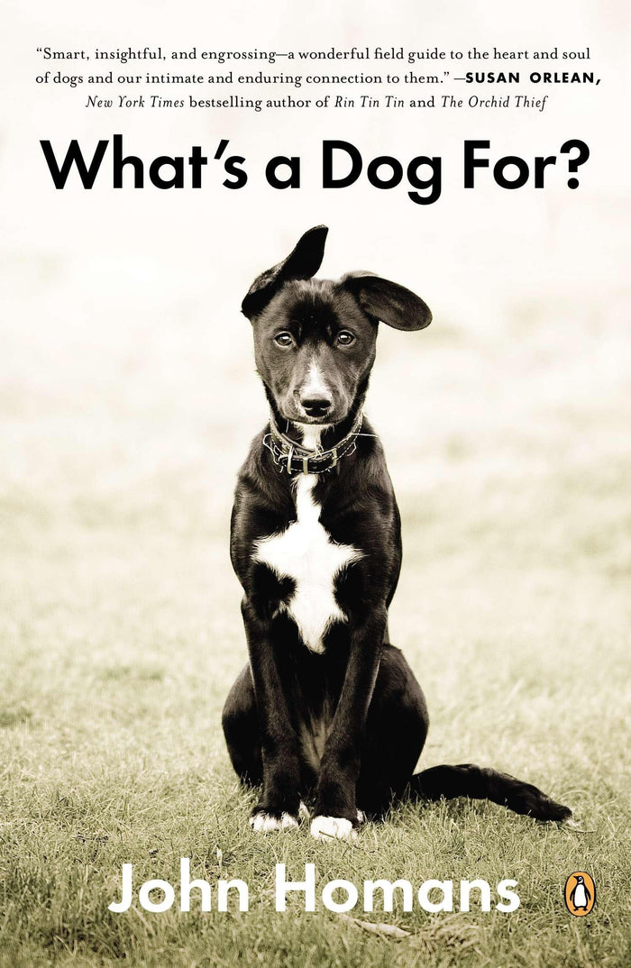 What's a Dog For?: The Surprising History, Science, Philosophy, and Politics of Man’s Best Friend by John Homans - Paperback cover