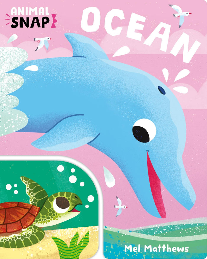 Animal Snap: Ocean by Blake Carly - Board Book cover