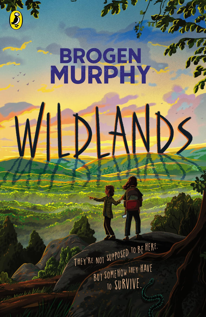 Wildlands by Brogen Murphy - Paperback cover