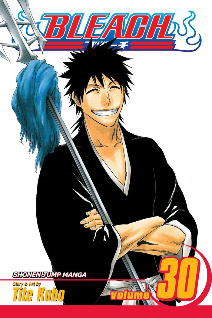 Bleach, Vol. 30 by Tite Kubo - Paperback cover