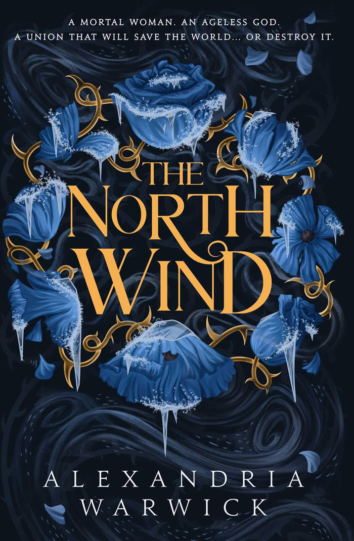 North Wind by Warwick Alexandria - Paperback cover