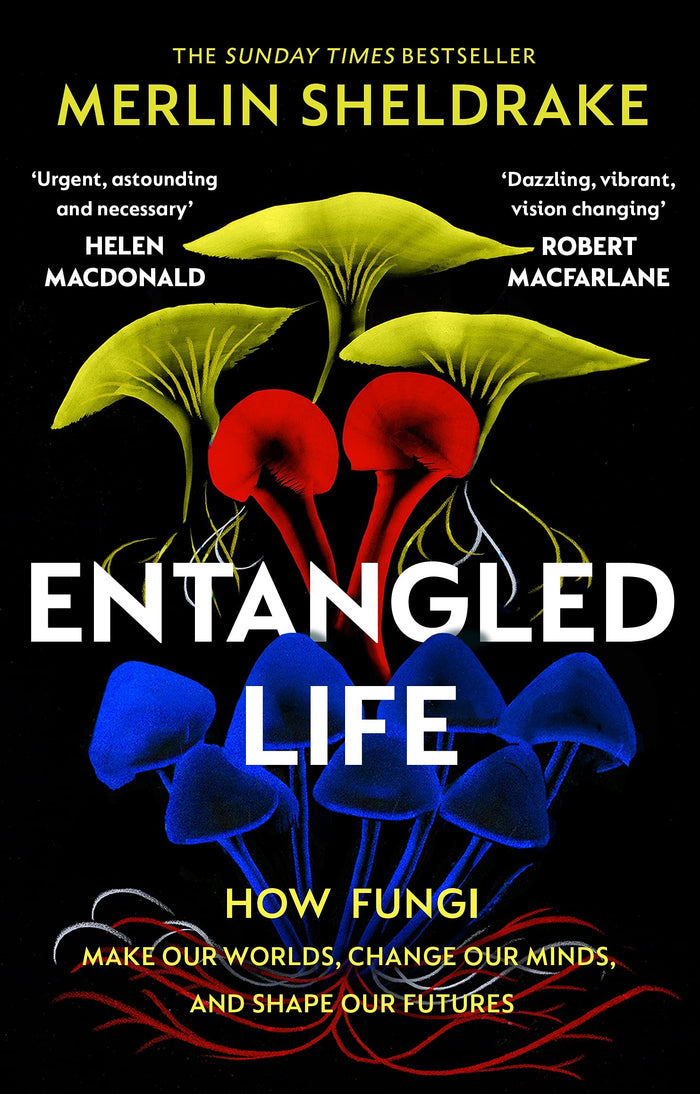 Entangled Life How Fungi Make Our Worlds (Paperback) /anglais by Sheldrake Merlin - Paperback cover