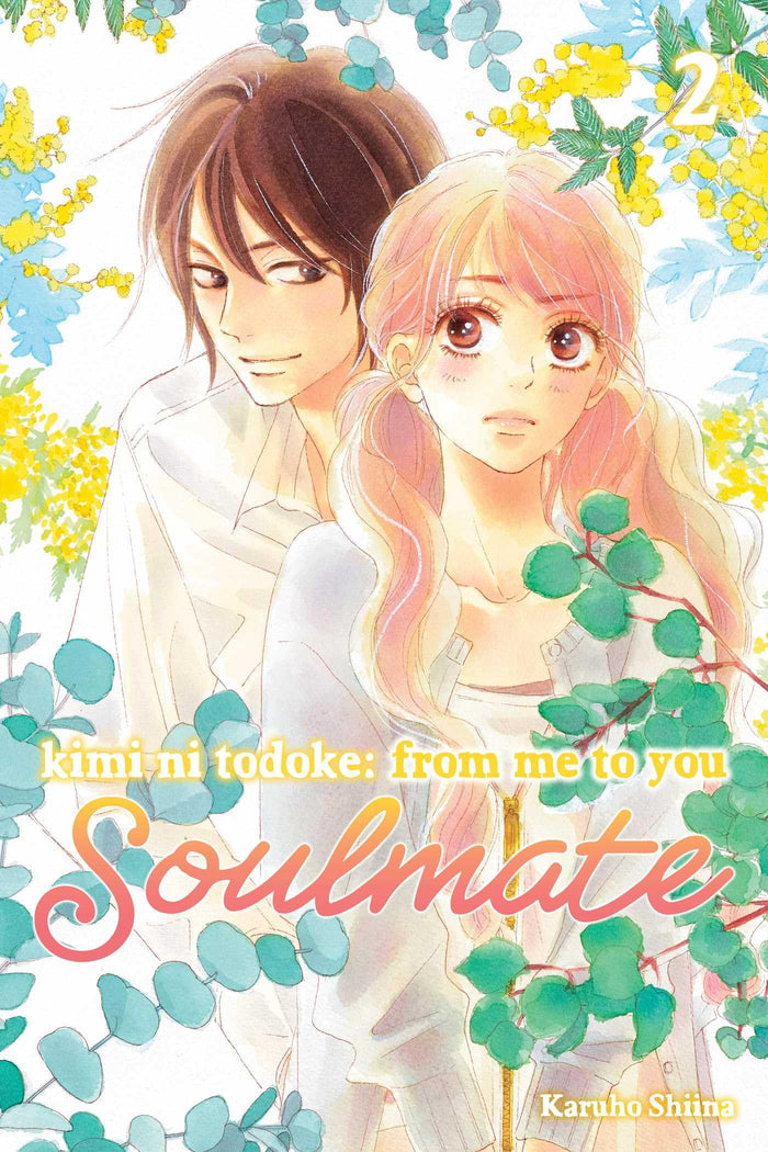 Kimi ni Todoke: From Me to You: Soulmate, Vol. 2 by Karuho Shiina - Paperback cover