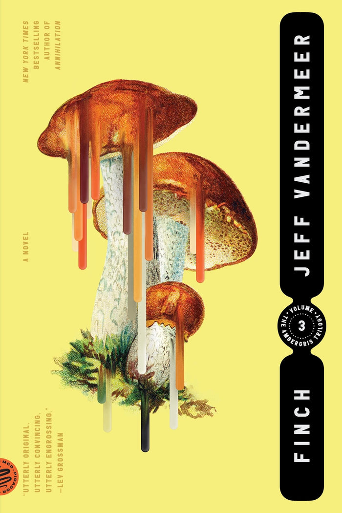 Finch (The Ambergris Trilogy, 3) by Jeff Vandermeer - Paperback cover