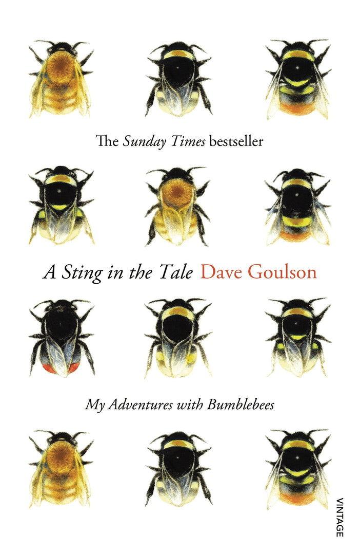 A Sting in the Tale by Dave Goulson - Paperback cover