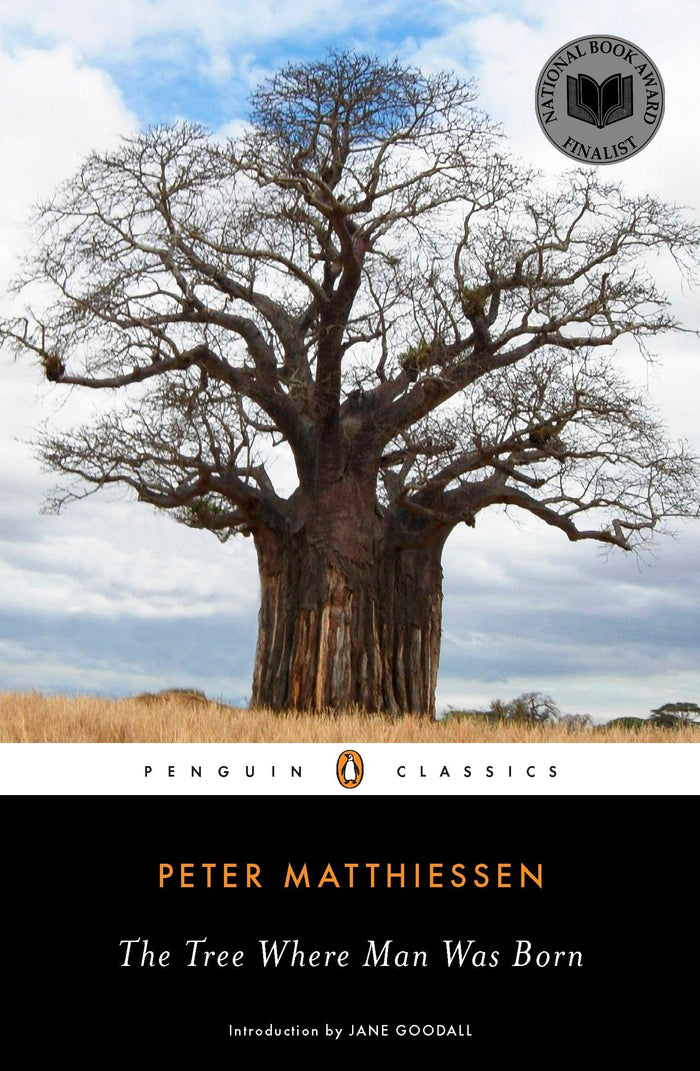 The Tree Where Man Was Born (Penguin Classics) by Peter Matthiessen - Paperback cover
