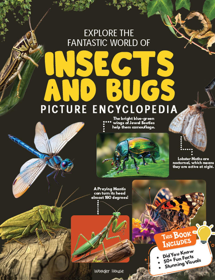 Explore Fantastic World of Insects And Bugs Picture Encyclopedia by Wonder House Books - Paperback cover