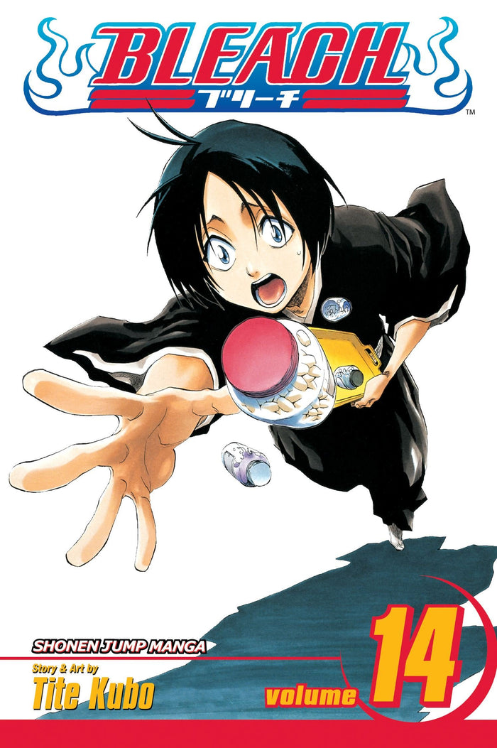 Bleach, Vol. 14 - Paperback cover