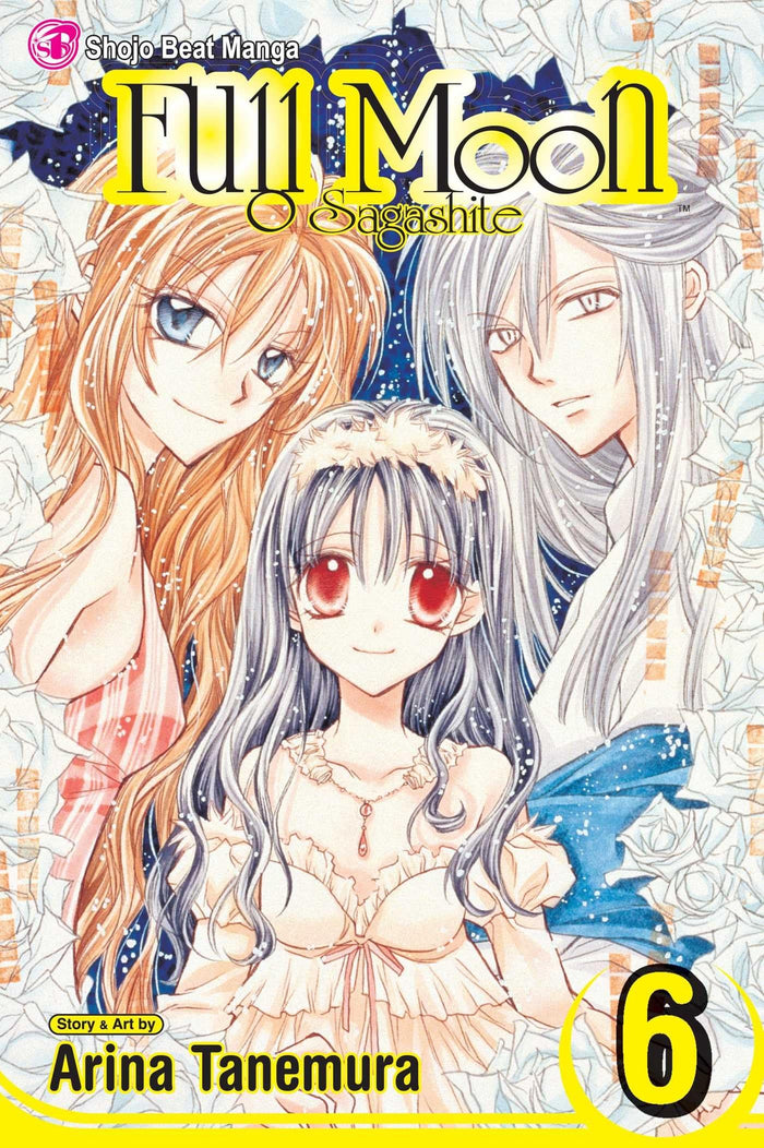 Full Moon O Sagashite, Vol. 6 by Arina Tanemura - Paperback cover
