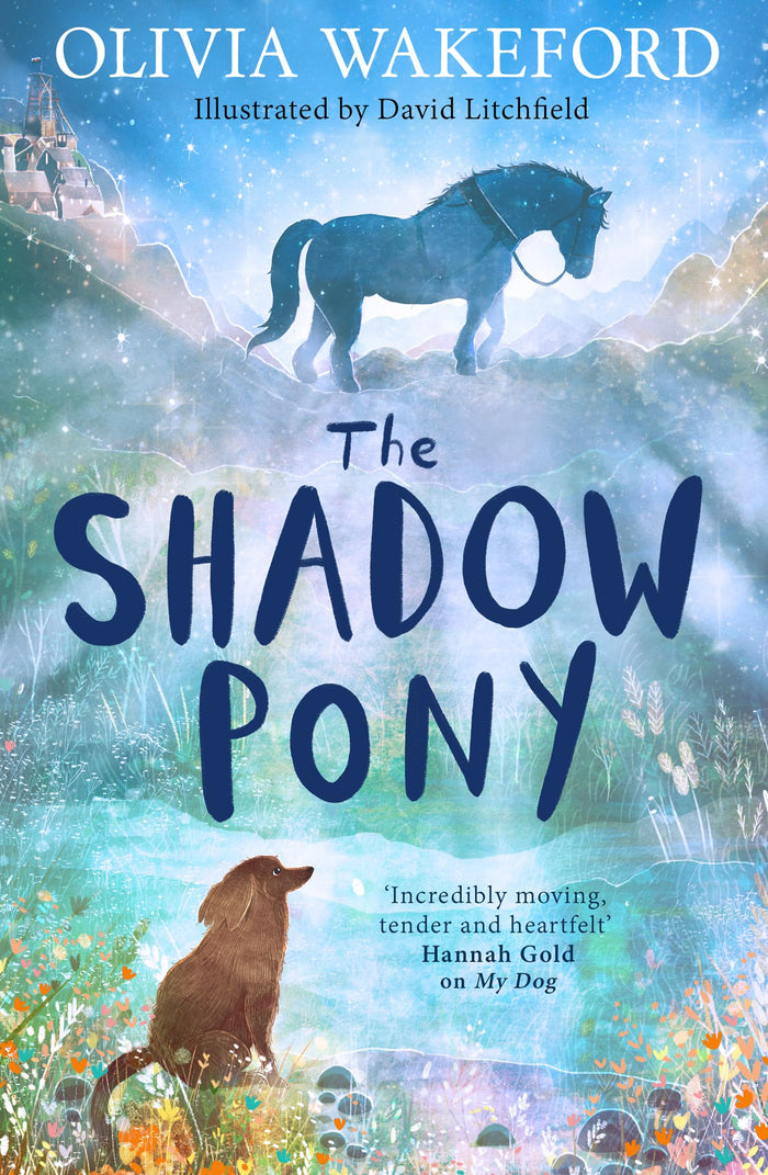 The Shadow Pony by Illustrated by David Litchfield Olivia Wakeford - Paperback cover
