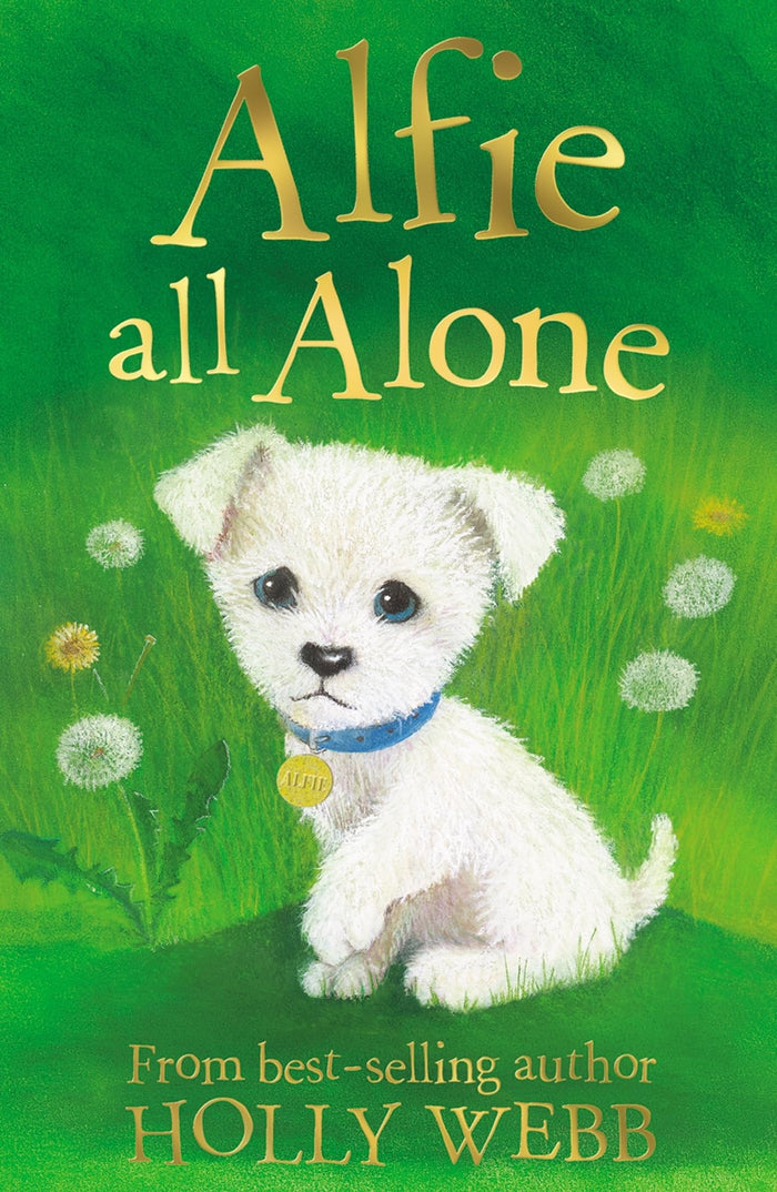 Alfie All Alone (Holly Webb Animal Stories) by Holly Webb - Paperback cover