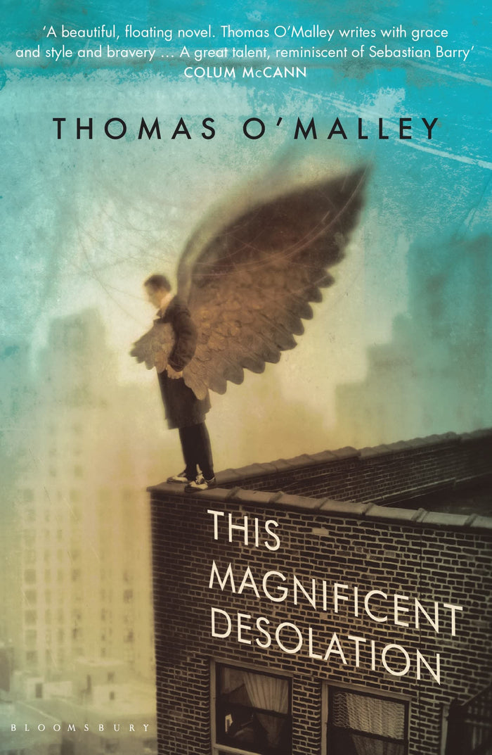 This Magnificent Desolation by Thomas OMalley - Paperback cover