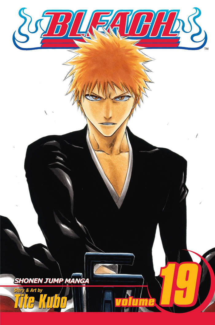 Bleach, Vol. 19 - Paperback cover