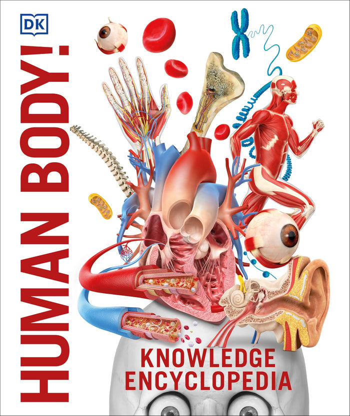Knowledge Encyclopedia Human Body! by D.K. Publishing - Hardcover cover