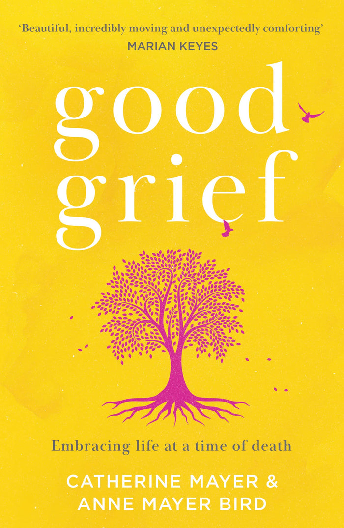 Good Grief: A self-help guide to recovery after death, and memoir about the covid 19 pandemic and loss of gang of four member Andy Gill, by an award-winning author by Catherine Mayer - Paperback cover