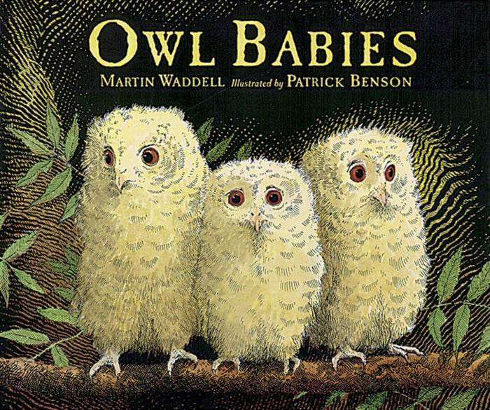 Owl Babies Big Book by Martin Waddell - Paperback cover