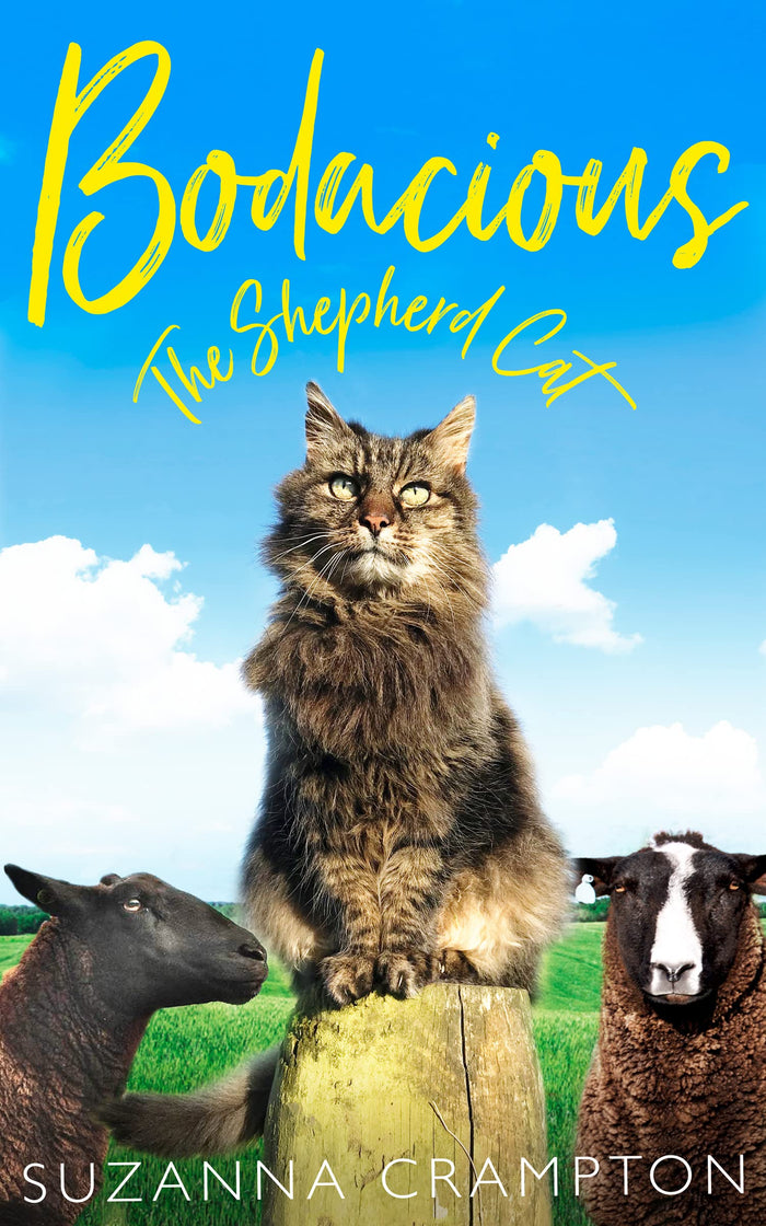 Bodacious by Suzanna Crampton - Hardcover cover