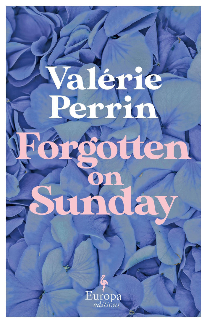 Forgotten on Sunday: From the million copy bestselling author of Fresh Water for Flowers by Valérie Perrin - Paperback cover