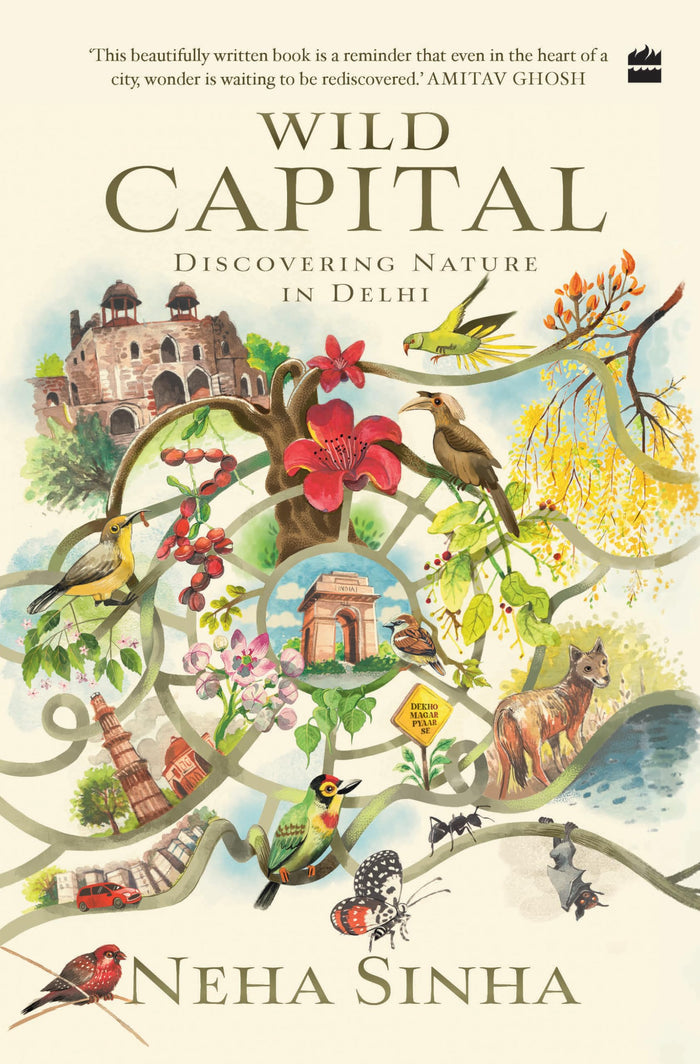 Wild Capital : Discovering Nature in Delhi by Neha Sinha - Hardcover cover