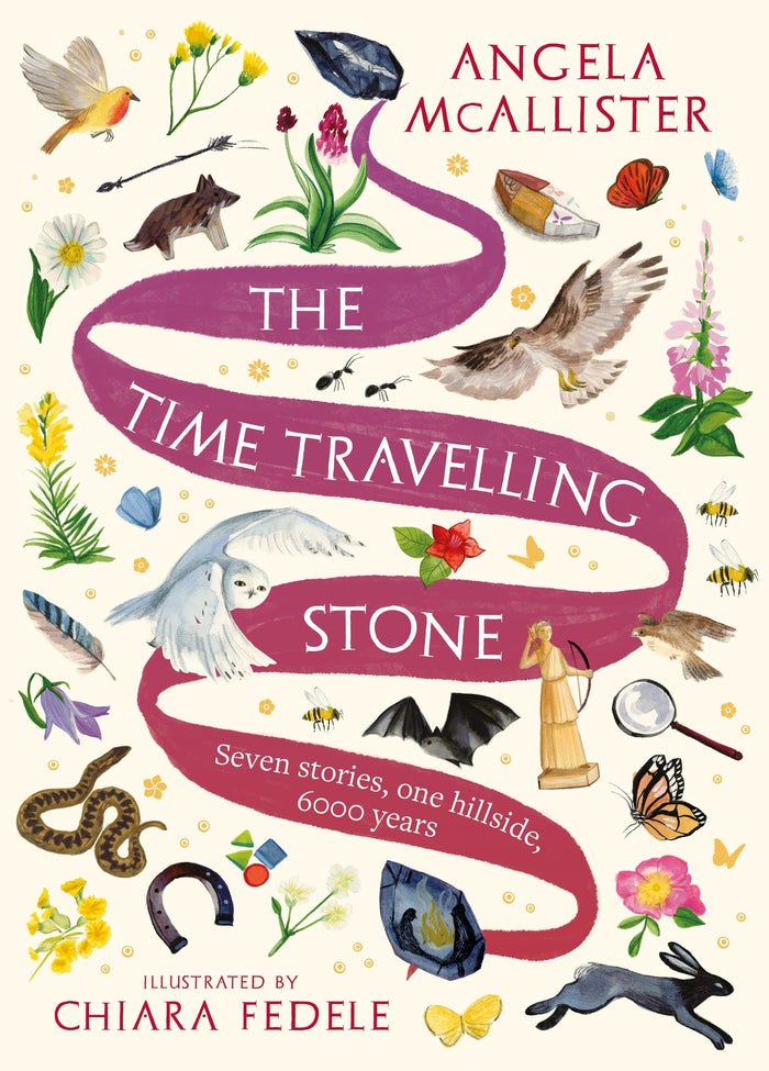 Zephyr The Time Travelling Stone Seven stories, one hillside, 6000 years. by Angela McAllister - Paperback cover