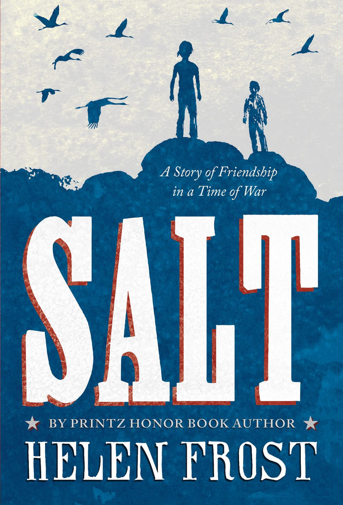 Salt: A Story of Friendship in a Time of War by Helen Frost - Paperback cover