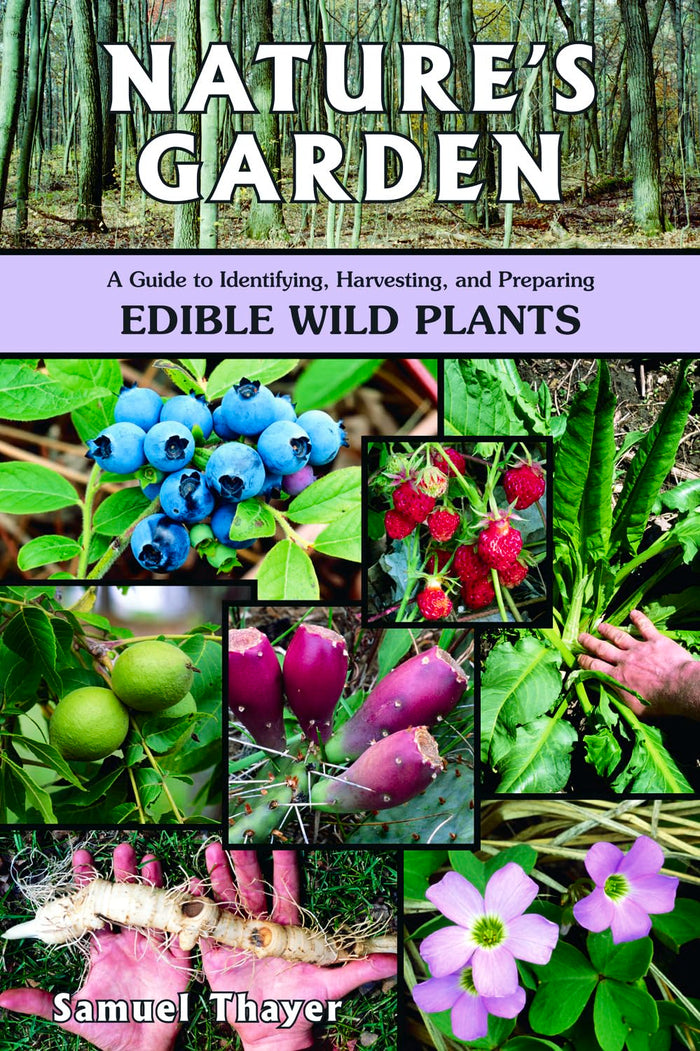Nature's Garden: A Guide to Identifying, Harvesting, and Preparing Edible Wild Plants by Samuel Thayer - Paperback cover