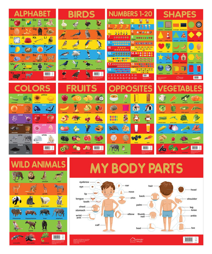 Early Learning Educational Charts For Kids - Pack of Ten Charts: Perfect For Homeschooling, Kindergarten and Nursery Students (11.5 Inches X 17.5 ... Fruits, Vegetables, Opposites, My Body Parts by Wonder House Books - Perfect cover