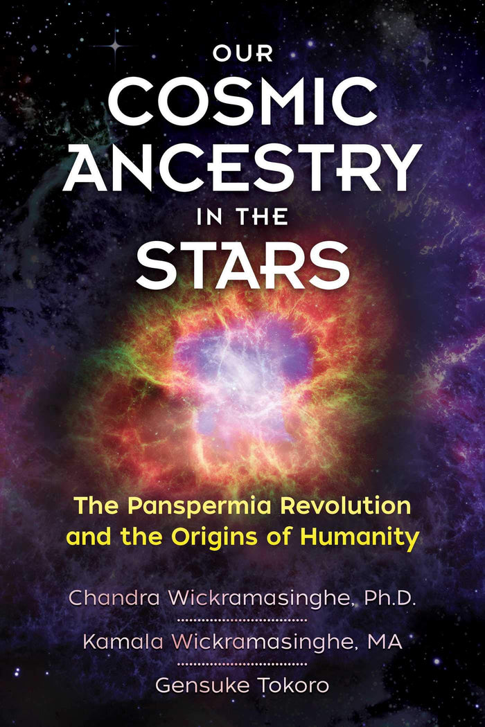 Our Cosmic Ancestry in the Stars: The Panspermia Revolution and the Origins of Humanity by Gensuke Tokoro - Paperback cover