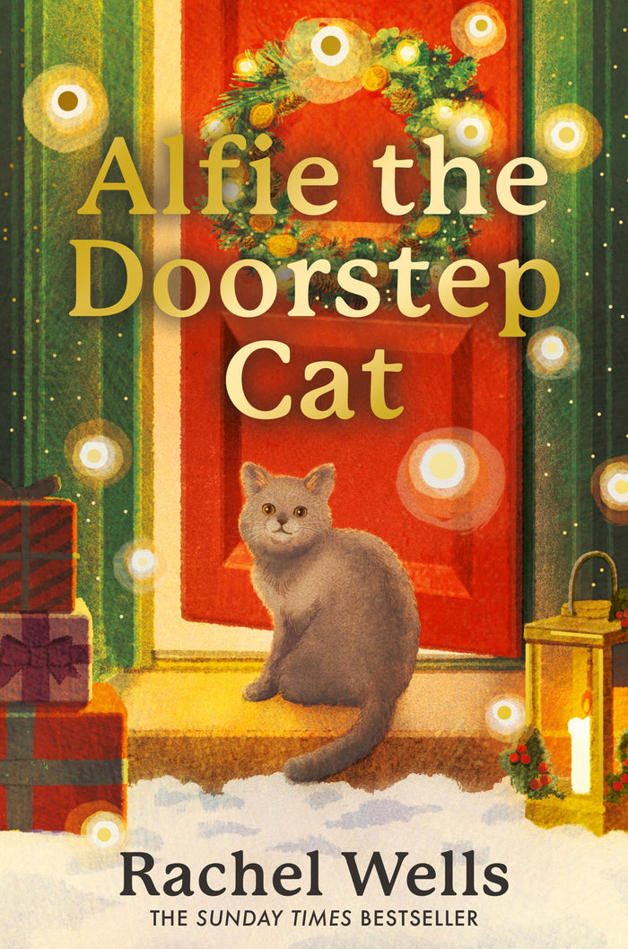 Alfie the Doorstep Cat: Curl up with the cosy, heartwarming first book in the Sunday Times bestselling Alfie series by Rachel Wells - Paperback cover