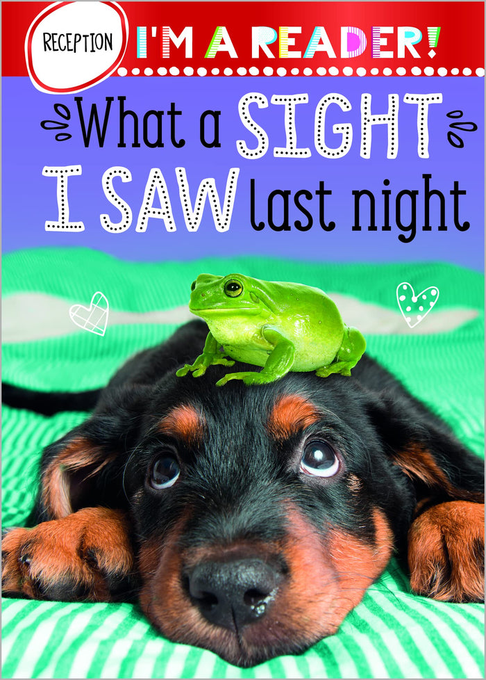 I'm a Reader! What A Sight I Saw Last Night (Reception: Ages 4+) by Make Believe Ideas - Hardcover cover