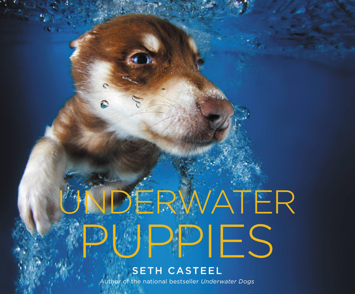 Underwater Puppies by Seth Casteel - Hardcover cover