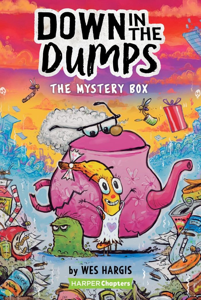 Down in the Dumps #1: The Mystery Box: A Hilarious Early Chapter Book About Friendship and Home for Kids (Ages 6-10) by Wes Hargis - Paperback cover