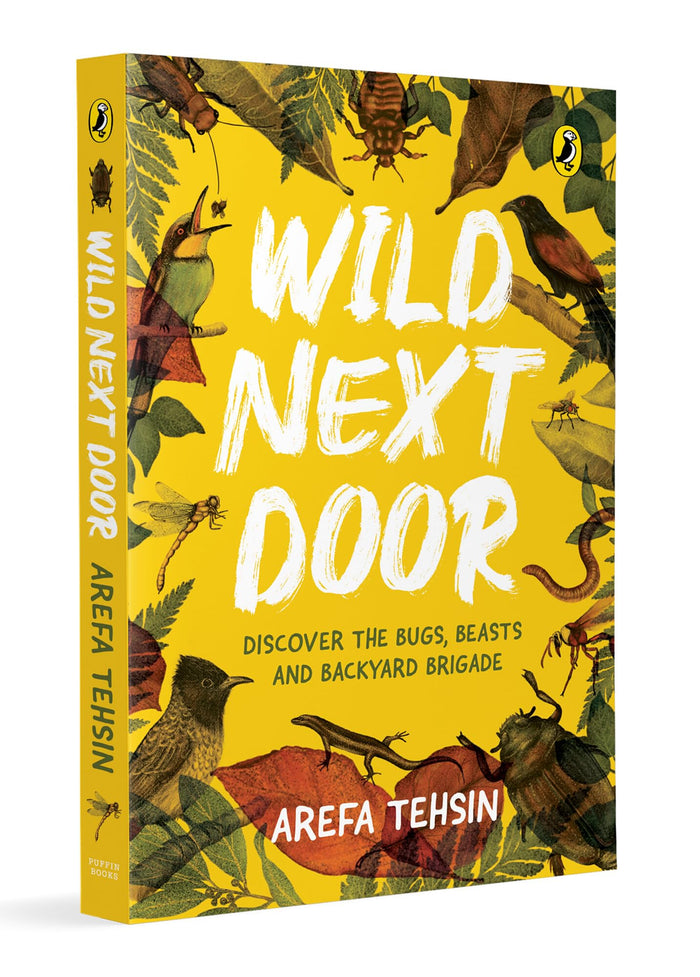Wild Next Door:Discover the Bugs, Beasts, and Backyard Brigade by Jimo Canato - Paperback cover