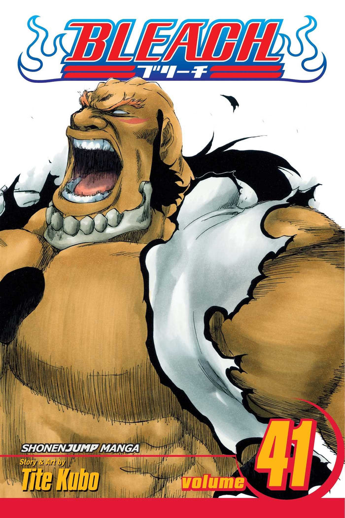 Bleach, Vol. 41 by Tite Kubo - Paperback cover