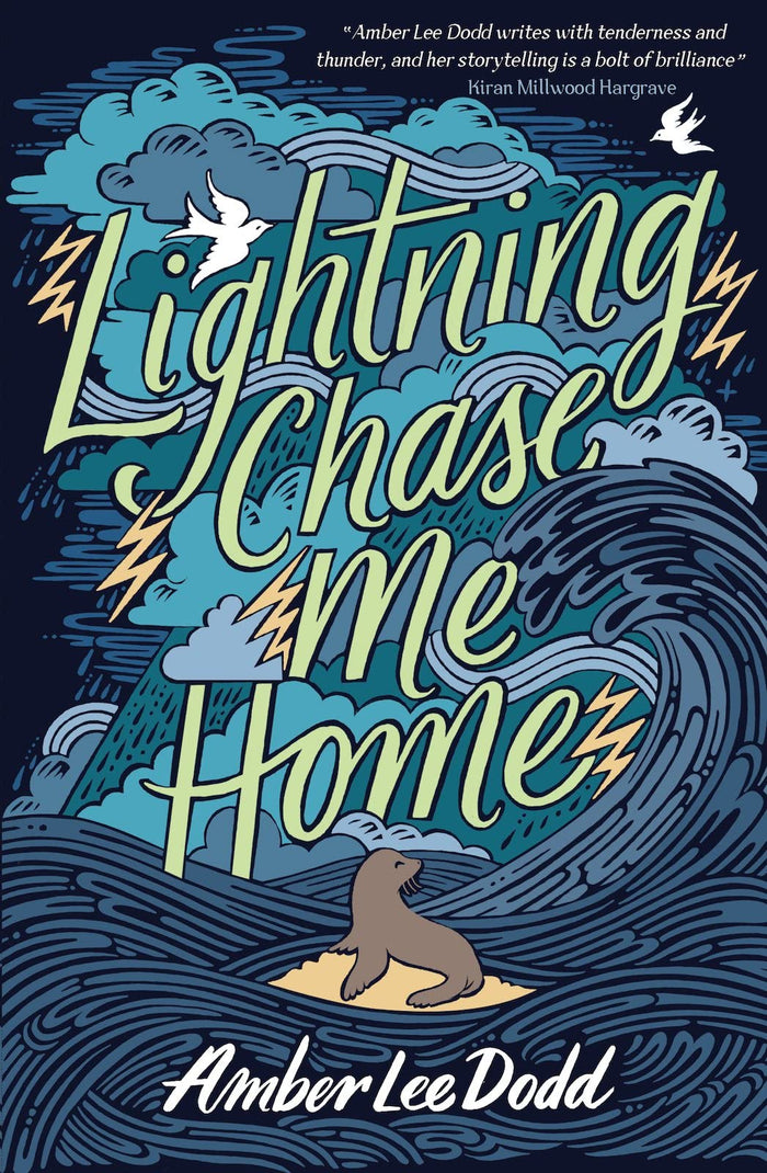 Lightning Chase Me Home by Amber Lee Dodd - Paperback cover