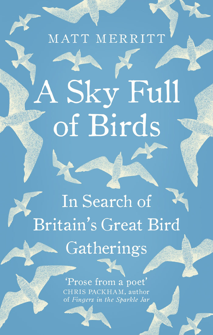 A Sky Full of Birds (Nicole Graves Mysteries) by Matt Merritt - Paperback cover