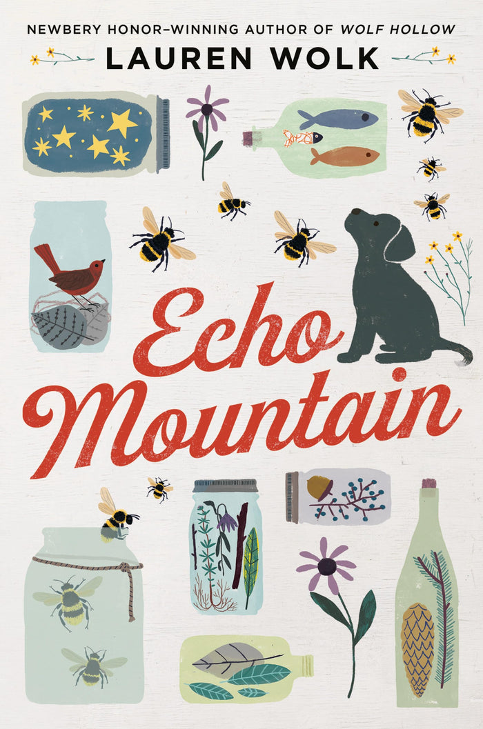 Echo Mountain by Lauren Wolk - Paperback cover